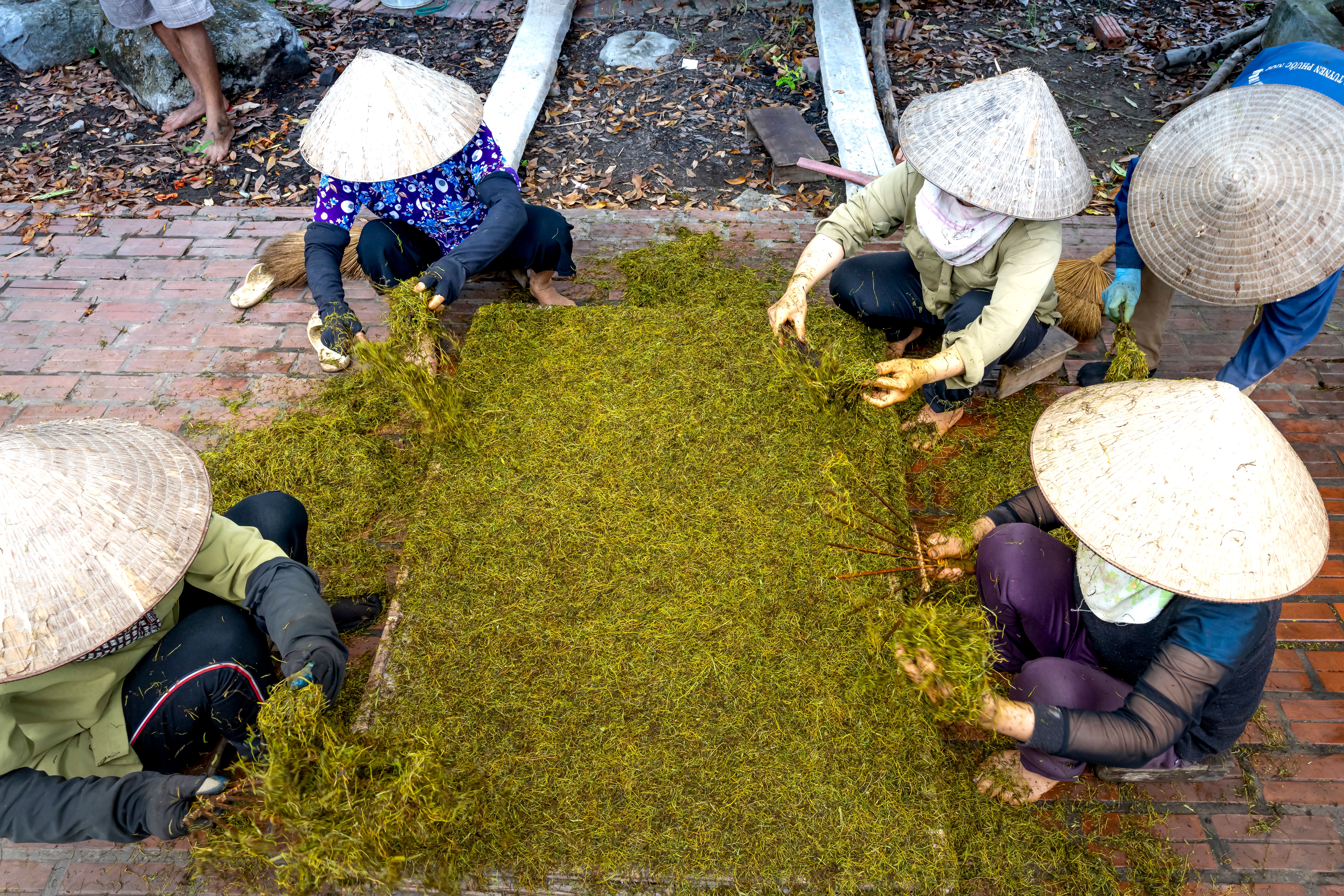 Yunnan