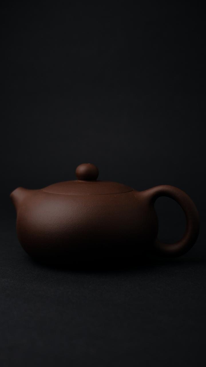 Teapot Yixing 170ml [Master Shi Yun ()]