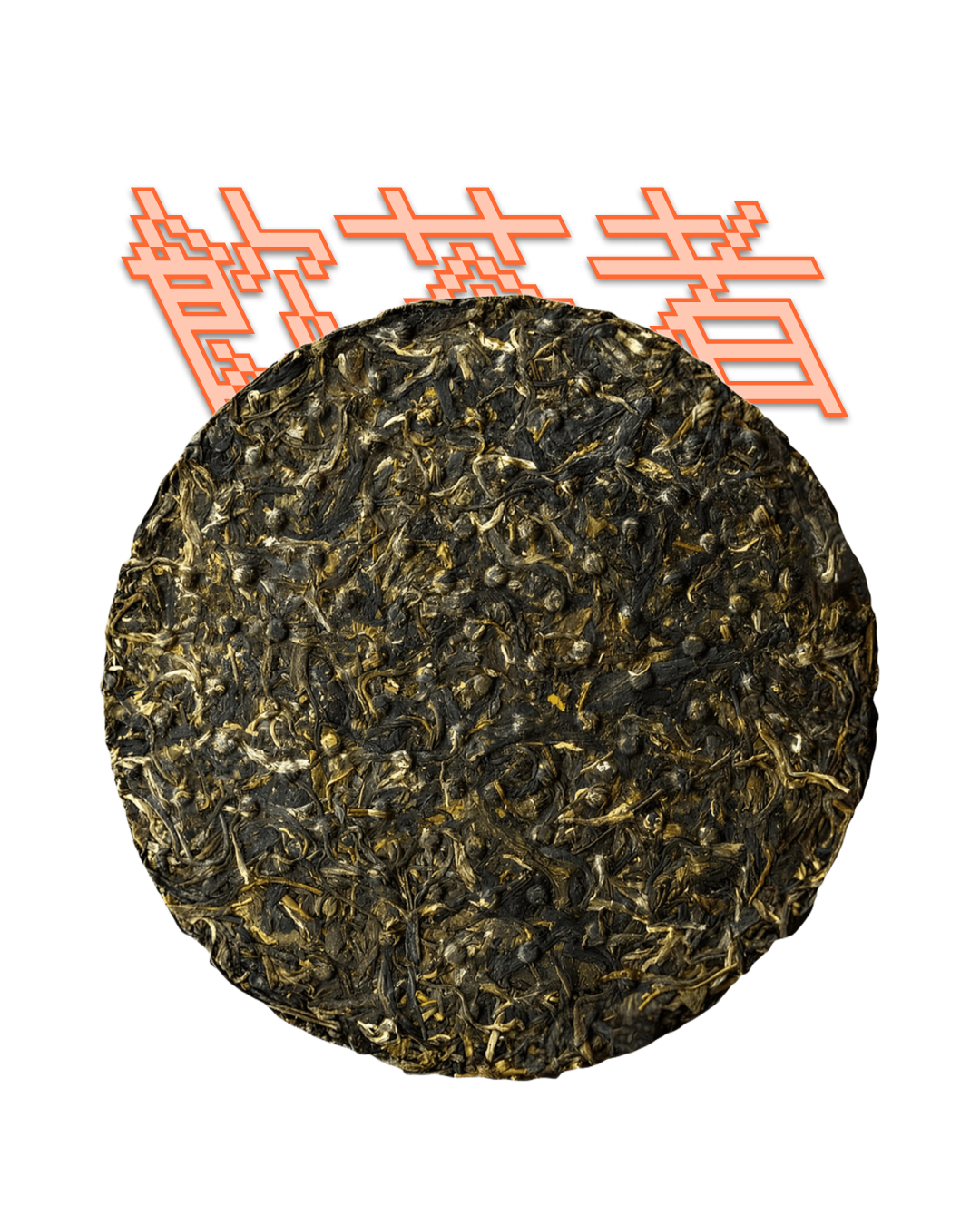 Sheng Puerh 2003 [Xia Guan] 357g