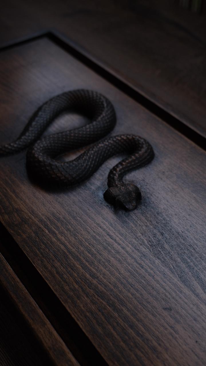 Chapan[Tea Snake] 44x23