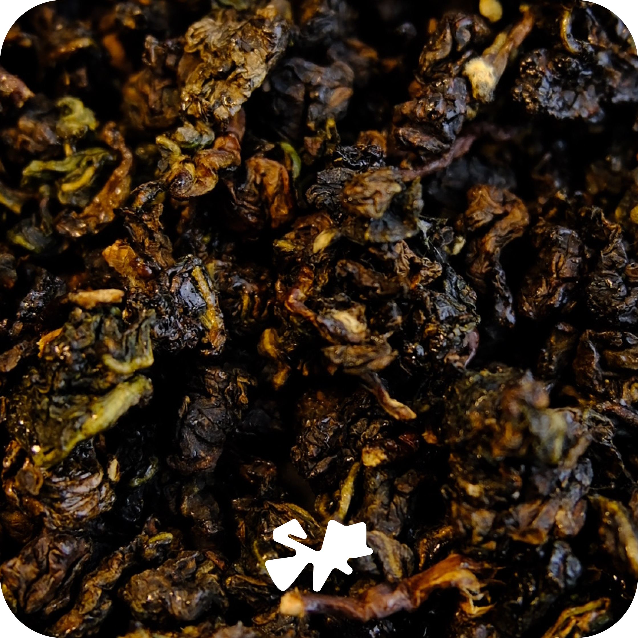 Volcanic Gaba Wild Honey 50g